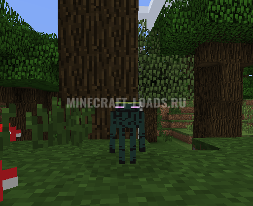 Ender Zoo