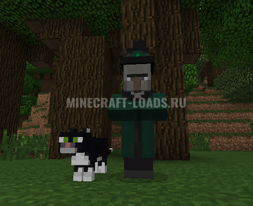 wither witch